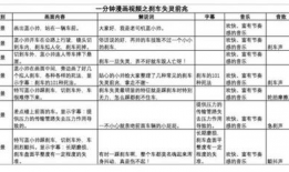 视频脚本,一场视觉与情感的盛宴
