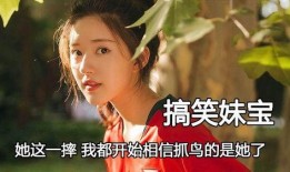 娱乐圈搞笑吃瓜小说推荐