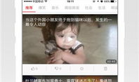 鲁啊鲁视频在线,带你领略趣味横生的网络世界