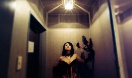 日本情趣视频,独特文化下的成人娱乐世界