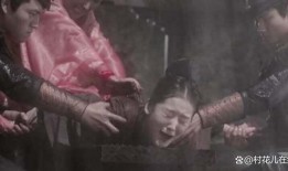 受刑视频,一场视觉冲击与心灵震撼的交锋