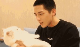 娱乐圈吃瓜爆料宋祖儿,揭秘明星背后的故事