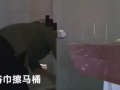 日本乱视频,视频揭示社会阴暗面