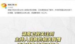 娱乐圈吃瓜爆料标题大全,揭秘明星背后的秘密与真相